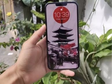 iPhone 13 pro Max iPhone 13 pro Max