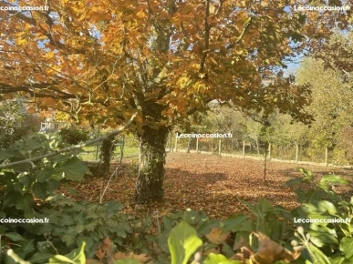 Terrain 539 m² Les Villages Voveens Terrain 539 m² Les Villages Voveens