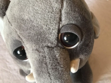 Petit Eléphanteau Gris Foncé Gros Yeux Animal Savane Peluche