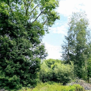 Terrain 1 619 m² Gallardon Terrain 1 619 m² Gallardon