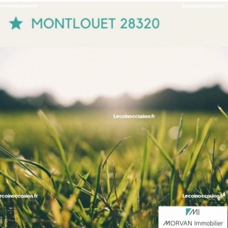 Terrain 1525 m² Gallardon Terrain 1525 m² Gallardon