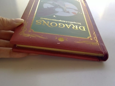 11€ Dragons (Sabine Boccador)