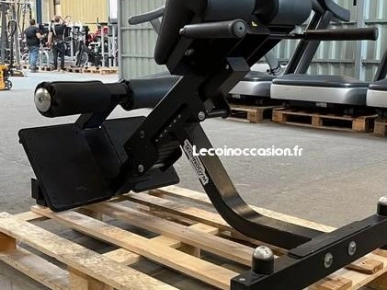 Musculation | Lower Back Bench / Banc à Lombaires Pure Strength Technogym PG05 Occasion