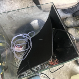 Aquarium cube Aquarium cube