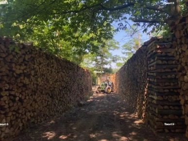 Bois de chauffage pour hiver