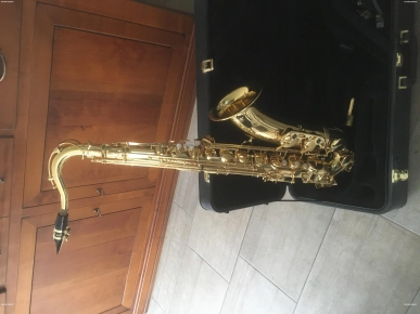 Vends Saxophone Tenor