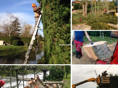 Espace vert Espace vert