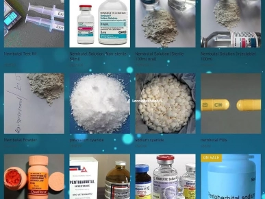 pentobarbital sodique à vendre pentobarbital sodique à vendre