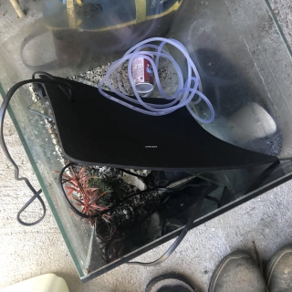 Aquarium cube Aquarium cube