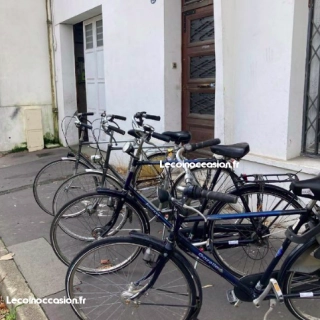 Vélo hollandais (Grande taille)