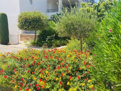 EN EXCLUSIVITE : Votre 2 Pièces avec terrasse au calme