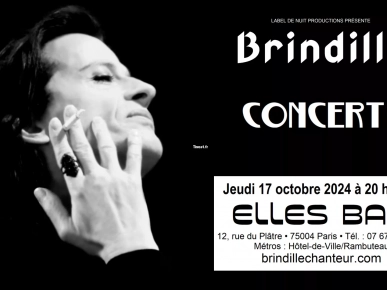 Brindille en concert au Elles Bar Brindille en concert au Elles Bar
