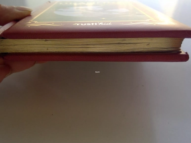 11€ Dragons (Sabine Boccador)