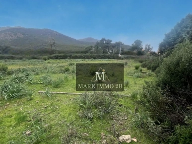 Terrain pied dans l'eau