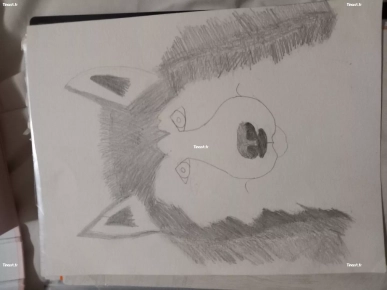 je vends un dessin fait à la main part moi même je vends un dessin fait à la main part moi même