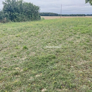 Terrain 1 300 m² Les Villages Voveens Terrain 1 300 m² Les Villages Voveens