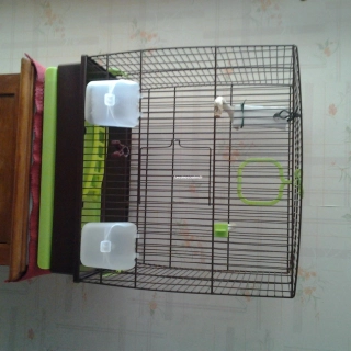 Petite cage oiseau Petite cage oiseau