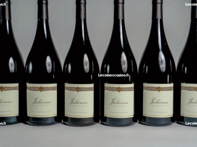 Julienas 2018 (magnum) Julienas 2018 (magnum)