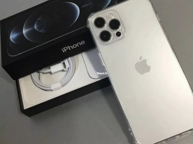 iPhone 12 Pro Max & accessoires (Paris) iPhone 12 Pro Max & accessoires (Paris)