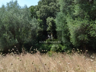 En Exclusivité :Terrain constructible de 2468m²