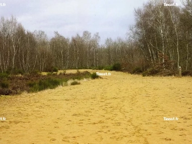 BALLADES EN BORD DE SAONE