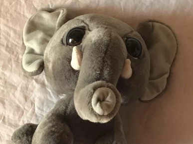 Petit Eléphanteau Gris Foncé Gros Yeux Animal Savane Peluche