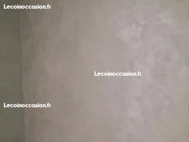Peinture professionnelle Peinture professionnelle