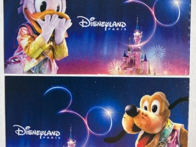 4 billets liberté Parc Disneyland / Walt Disney Studios 4 billets liberté Parc Disneyland / Walt Disney Studios