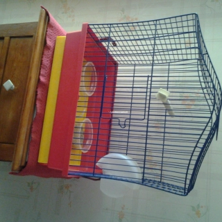 Autre petite  cage oiseau Autre petite  cage oiseau