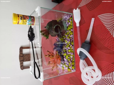 aquarium 20 litres aquarium 20 litres