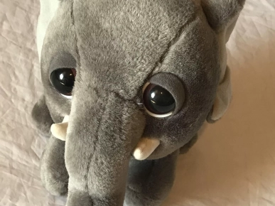 Petit Eléphanteau Gris Foncé Gros Yeux Animal Savane Peluche