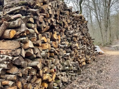 Bois de chauffage pour hiver