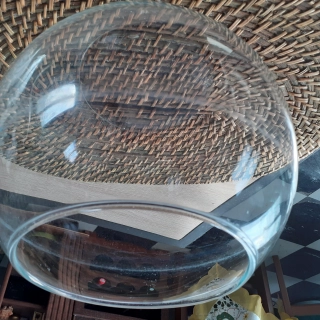 Bocal pour petit poisson Bocal pour petit poisson