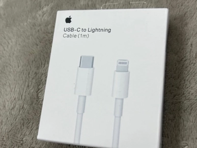 chargeur apple 1m
