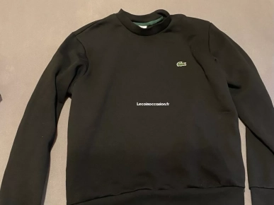 pull Lacoste