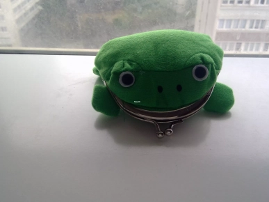 Porte monnaie grenouille