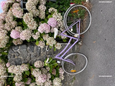 Vélo MBK Acapoloo Vélo MBK Acapoloo