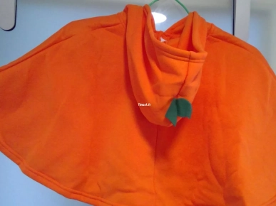 10€ Ponchon citrouille avec capuche