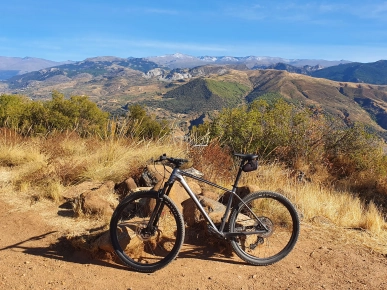 Scott scale 956 Scott scale 956