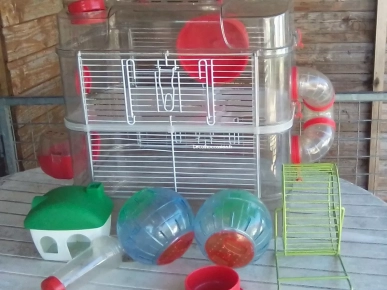 Vends cage et accessoires pour hamster  Vends cage et accessoires pour hamster