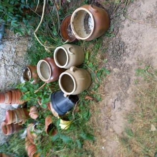 Toupines transformés en pots de fleurs Toupines transformés en pots de fleurs