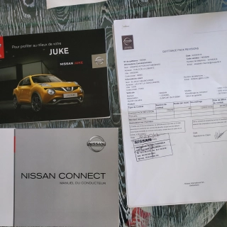 Nissan juke