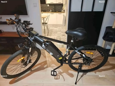 Vélo électrique Vélo électrique