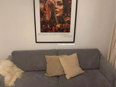 Canapé En Bonne état