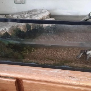 Aquarium bac à tortue