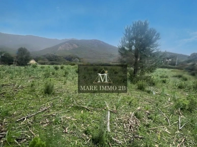 Terrain pied dans l'eau