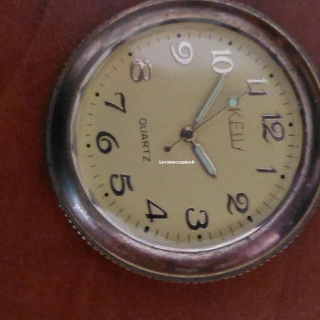 Montre gousset avec étui montre gousset Montre gousset avec étui montre gousset