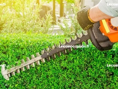 jardinier paysagiste élagage jardinier paysagiste élagage
