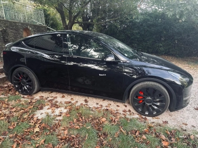 Tesla Model Y performance 2022