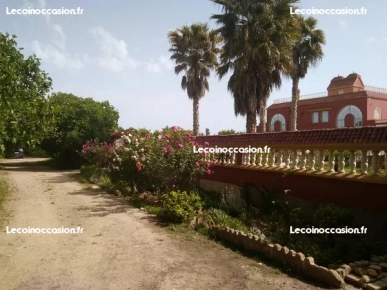 Belle propriété au NE du Maroc Belle propriété au NE du Maroc